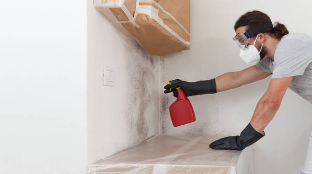 Professional Attic Mold Remediation technician working in Burnsville, NC