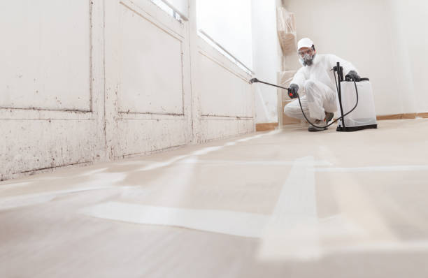 24/7 Emergency Attic Mold Remediation experts in Burnsville, NC